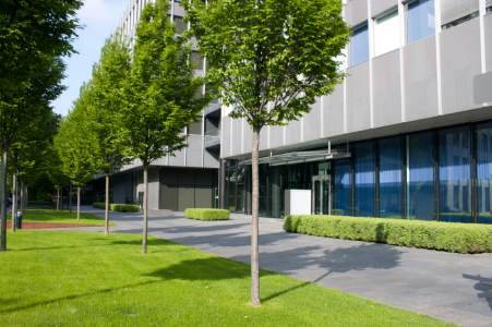 Commercial tree services by Phone A Monkey